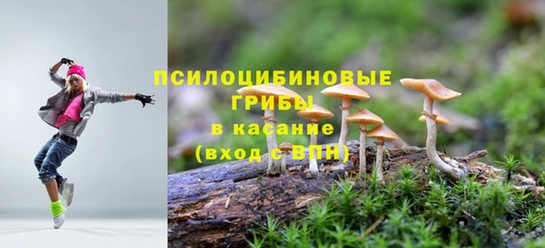 прущие крисы Богданович