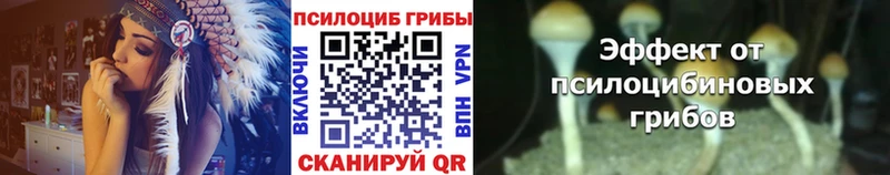Галлюциногенные грибы Psilocybine cubensis Мичуринск