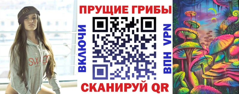 Галлюциногенные грибы Psilocybe  Купить  Мичуринск 